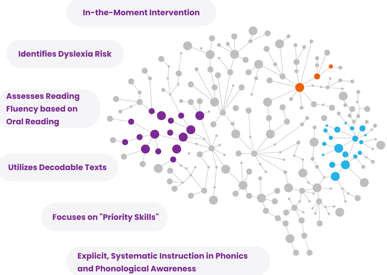 Graphic of a neural network diagram with clusters of connected dots in gray, purple, blue, and orange. Text labels around the diagram include: ‘In-the-Moment Intervention,’ ‘Identifies Dyslexia Risk,’ ‘Assesses Reading Fluency based on Oral Reading,’ ‘Utilizes Decodable Texts,’ ‘Focuses on “Priority Skills”,’ and ‘Explicit, Systematic Instruction in Phonics and Phonological Awareness.’