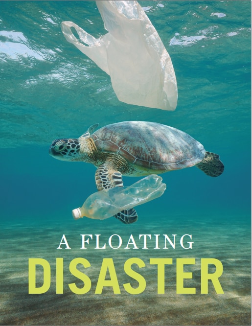 A Floating Disaster cover