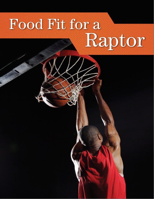 Food Fit for a Raptor cover