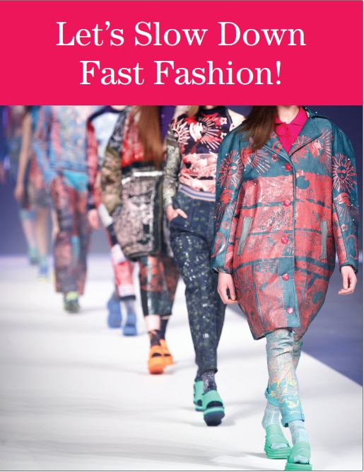 Let’s Slow Down Fast Fashion! cover