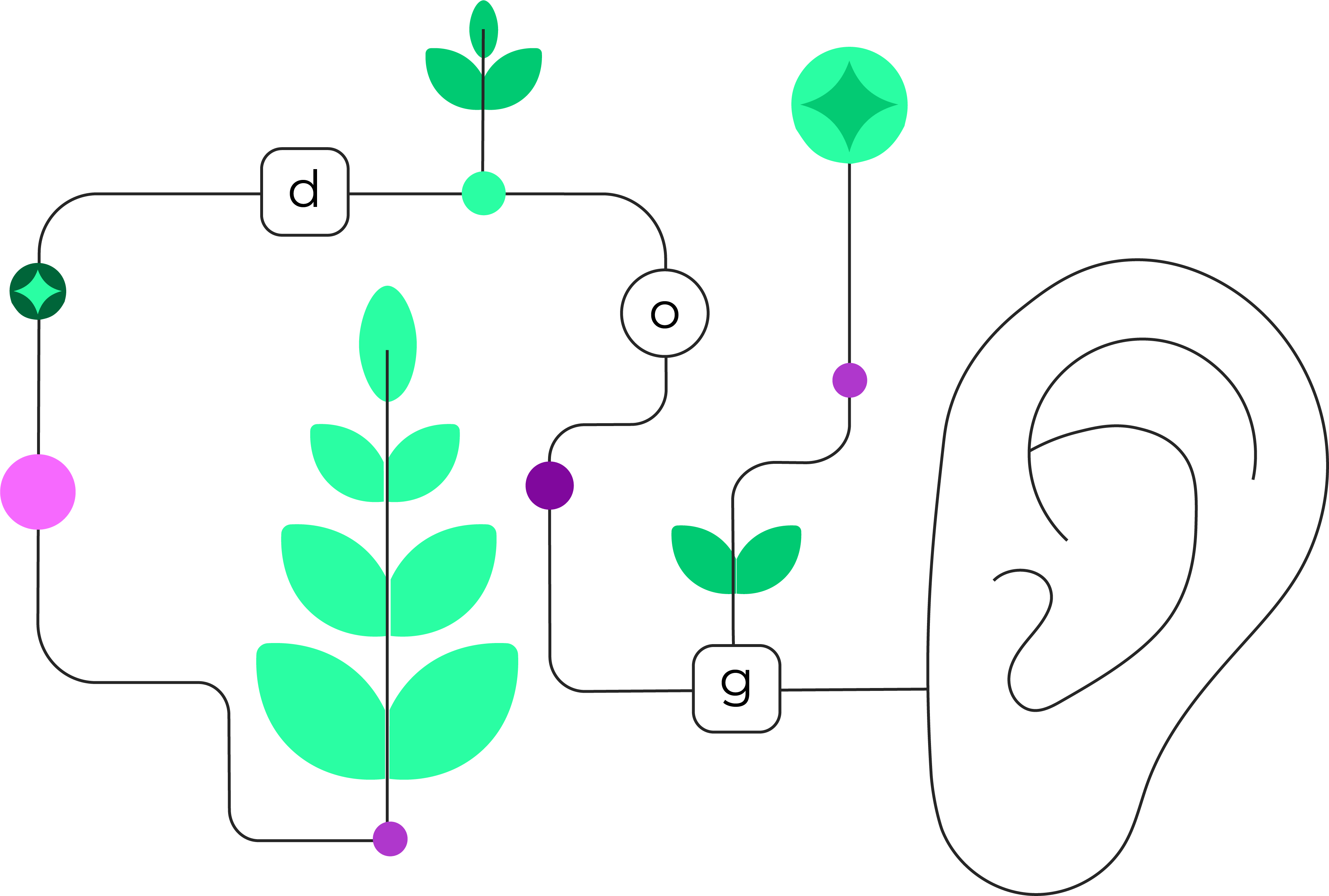 Abstract illustration showing an ear on the right connected by lines to letters ‘d,’ ‘o,’ and ‘g,’ along with green plant icons and colored dots. The design suggests phonics or sound-letter connections.